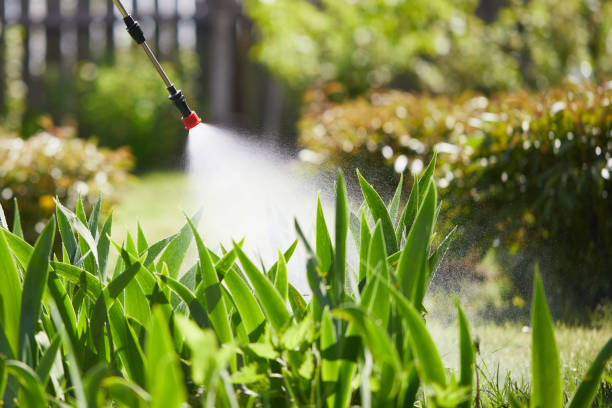 24/7 Emergency Fumigation Services experts in Trenton, FL