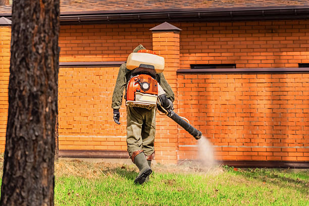 Trusted Termite Control service in Trenton, FL - Nex Pest Control